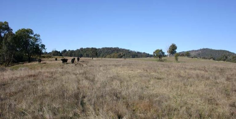 123 School Camp Lane, Strathbogie