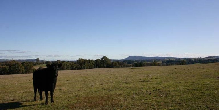 123 School Camp Lane, Strathbogie