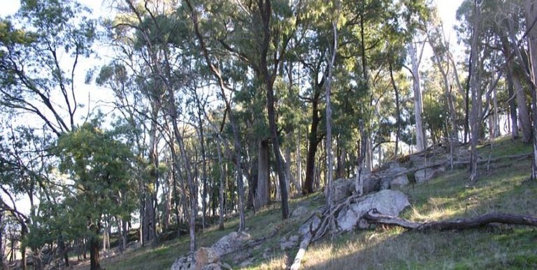 123 School Camp Lane, Strathbogie