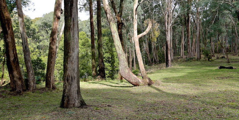 718 Tames Road, Strathbogie