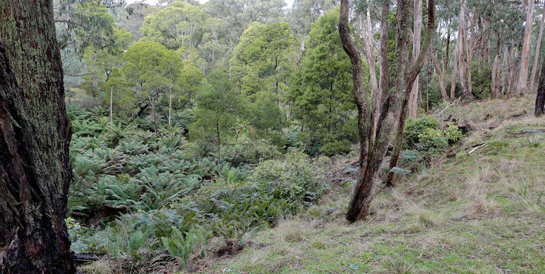 718 Tames Road, Strathbogie