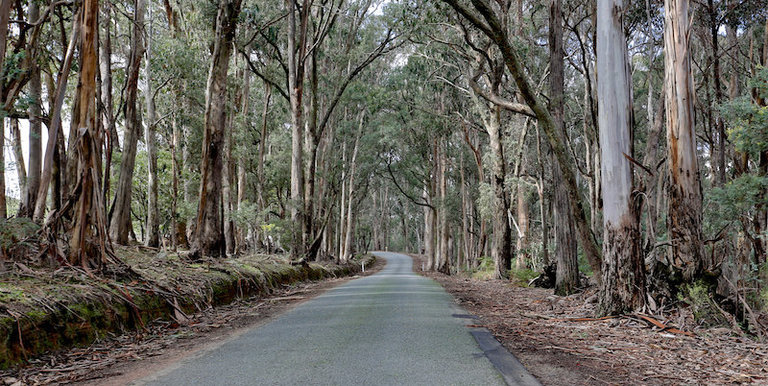 718 Tames Road, Strathbogie