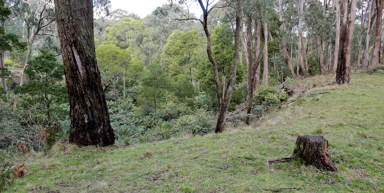 718 Tames Road, Strathbogie
