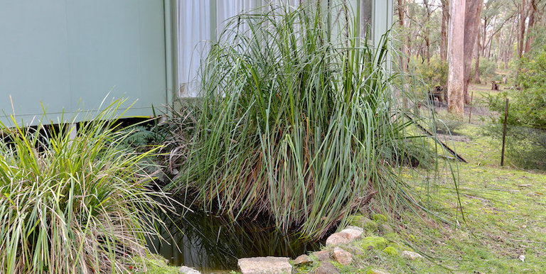 718 Tames Road, Strathbogie