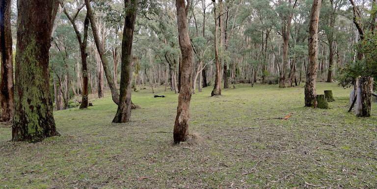 718 Tames Road, Strathbogie