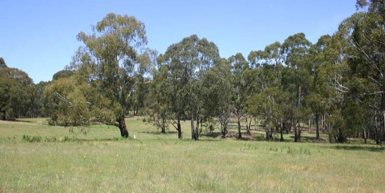 36 Nicholls Lane  Merton, Strathbogie