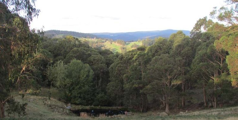 36 Nicholls Lane  Merton, Strathbogie