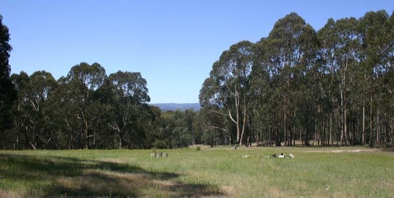 36 Nicholls Lane  Merton, Strathbogie