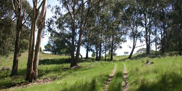 36 Nicholls Lane  Merton, Strathbogie