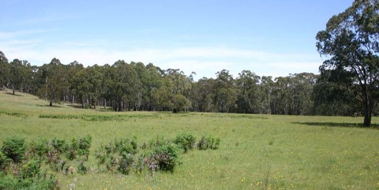 36 Nicholls Lane  Merton, Strathbogie