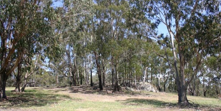 36 Nicholls Lane  Merton, Strathbogie