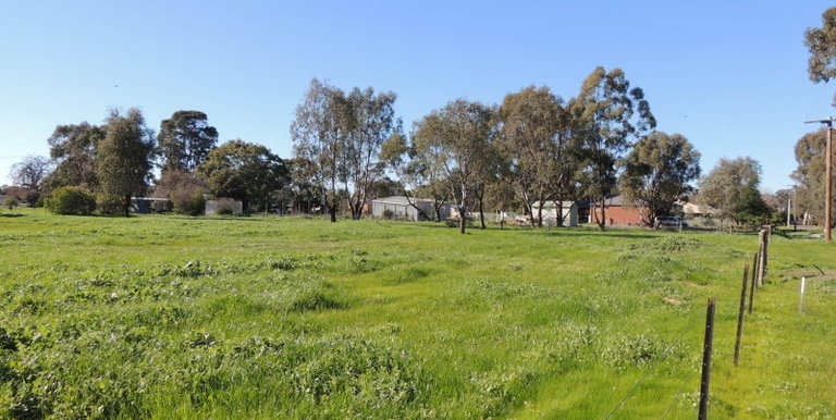 13-23 Saxon Street, Euroa