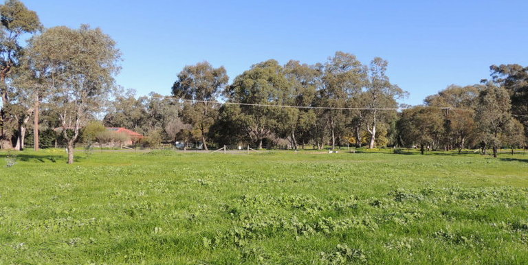 13-23 Saxon Street, Euroa