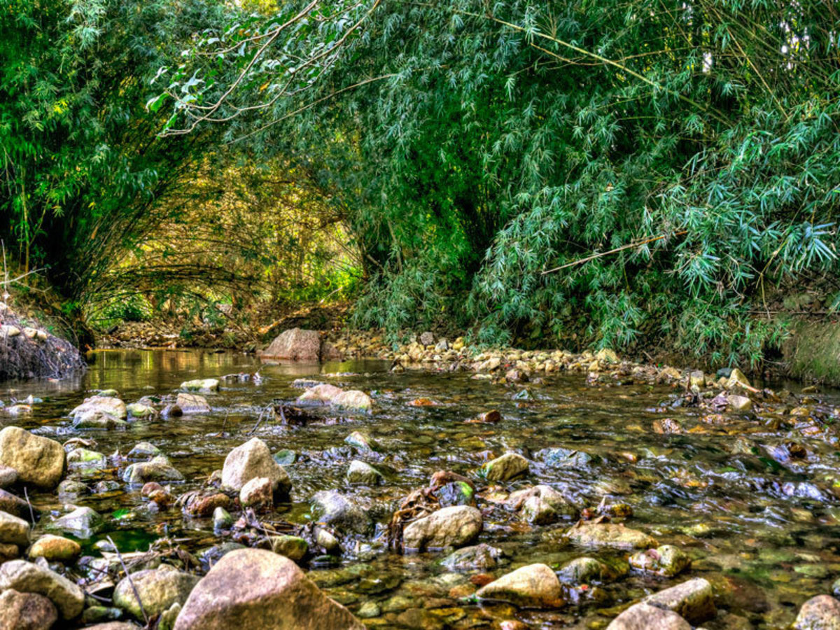Atherton