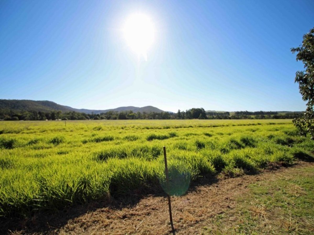 Lot 48 Canopus Circuit, Atherton