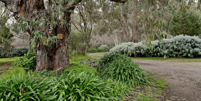 42 Creek Drive, Euroa