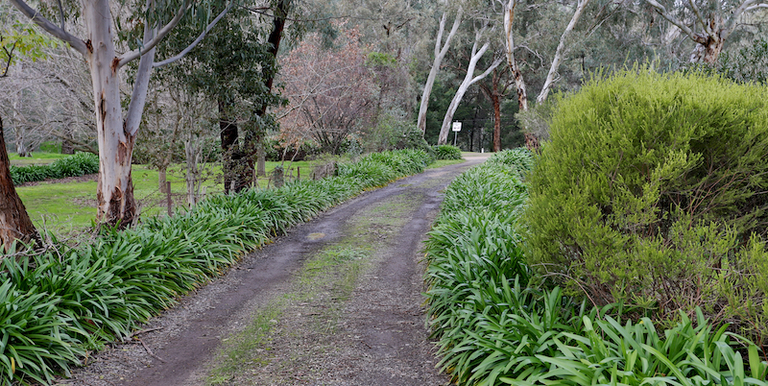 42 Creek Drive, Euroa