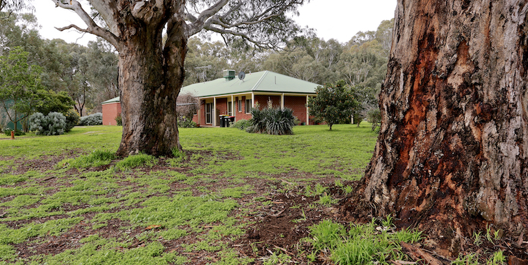 42 Creek Drive, Euroa