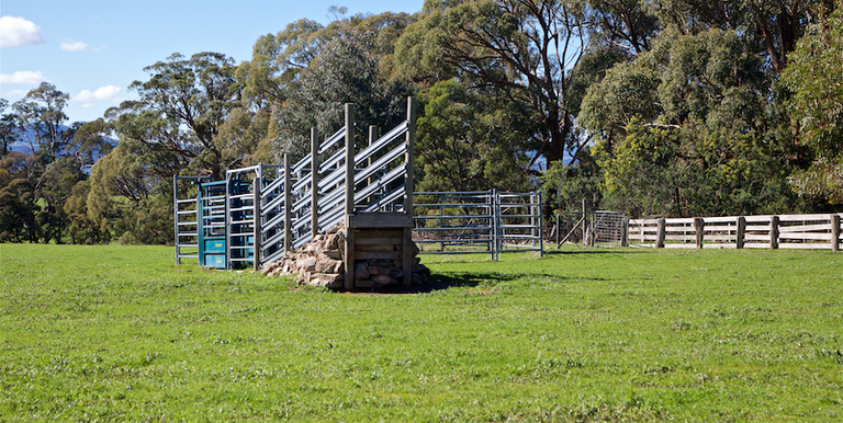 194 Buntings Hill Road, Ruffy