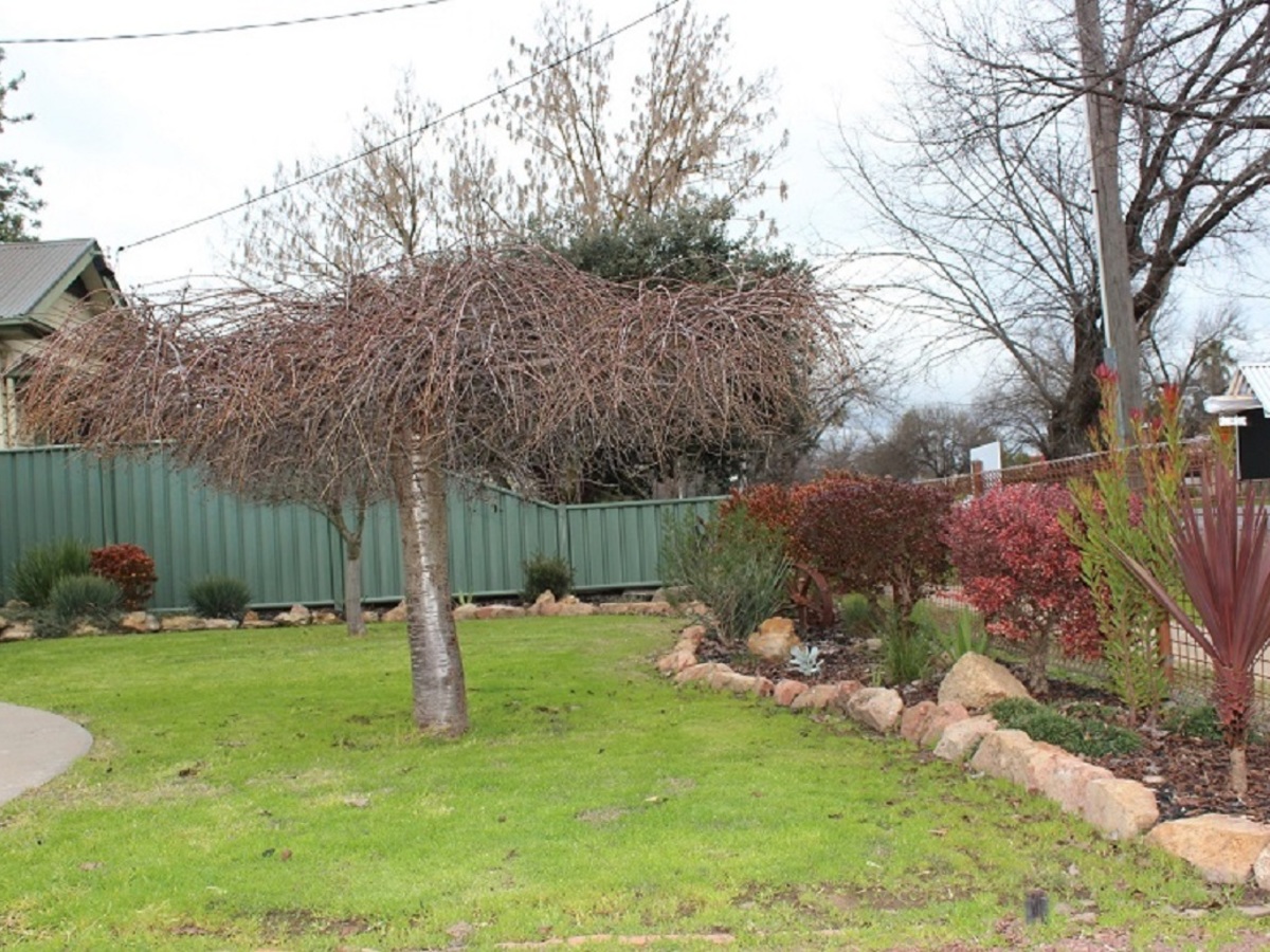 3 Arundel Street, Benalla