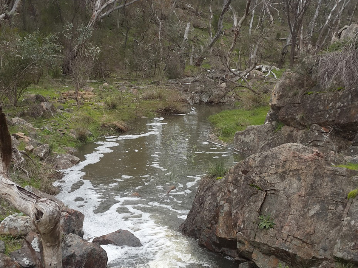 206 Griffiths Track, Glenrowan