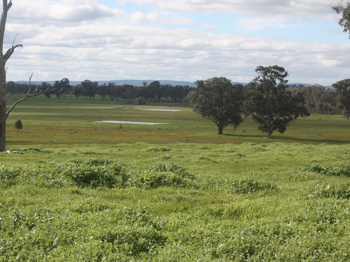 Lot 73, Webster Road, Benalla