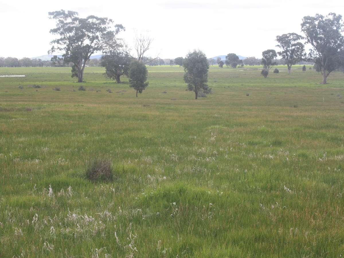 Lot 73, Webster Road, Benalla