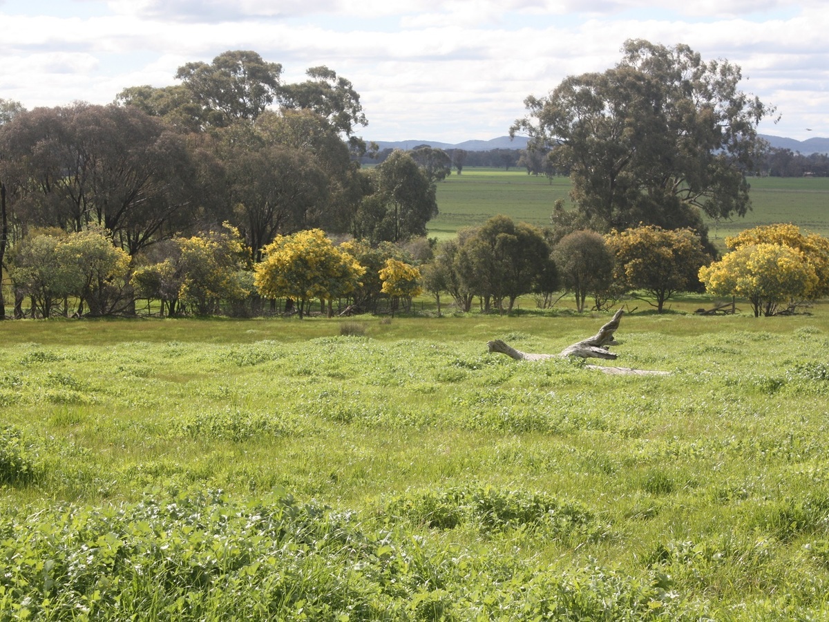 Lot 73, Webster Road, Benalla