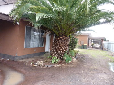 218 Baillie Street, Horsham