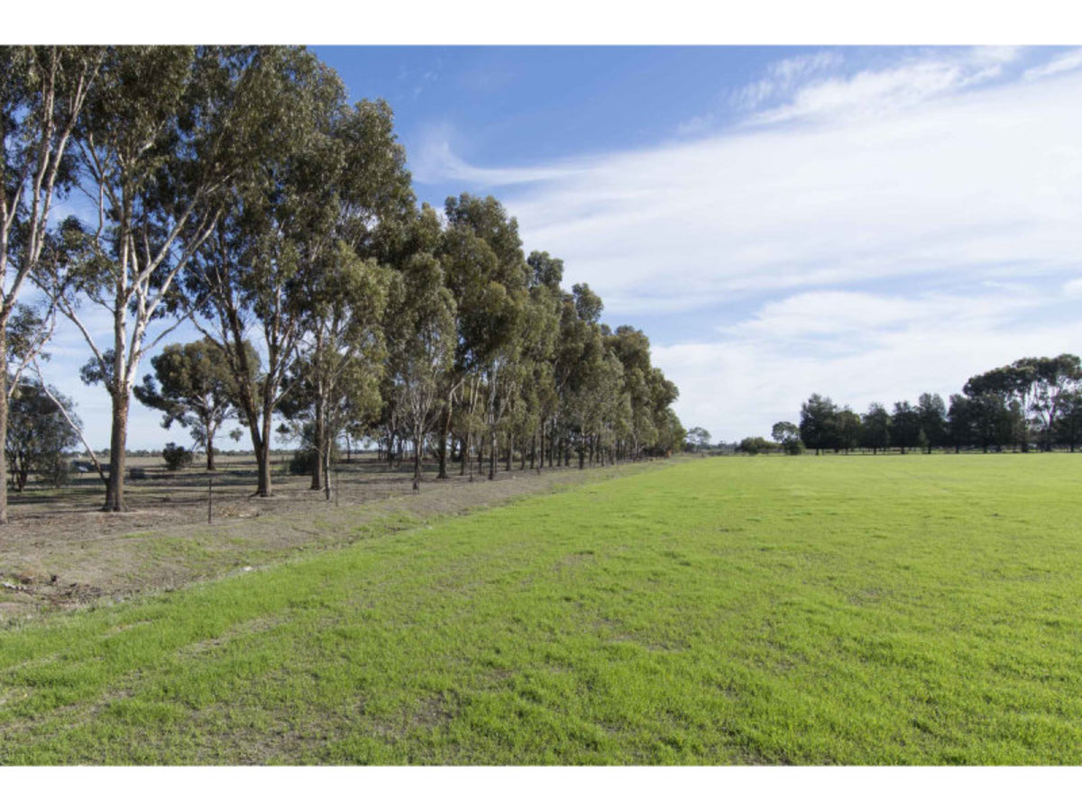 47 Butlers Road, Horsham