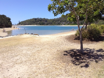 8b / 969   GOLD COAST HWY, Palm Beach