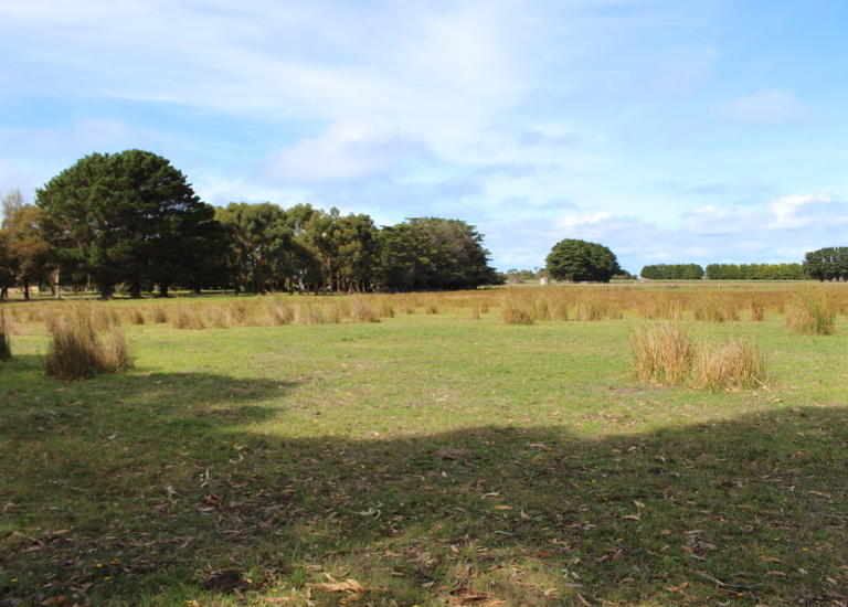 8729 Princes Highway, Portland