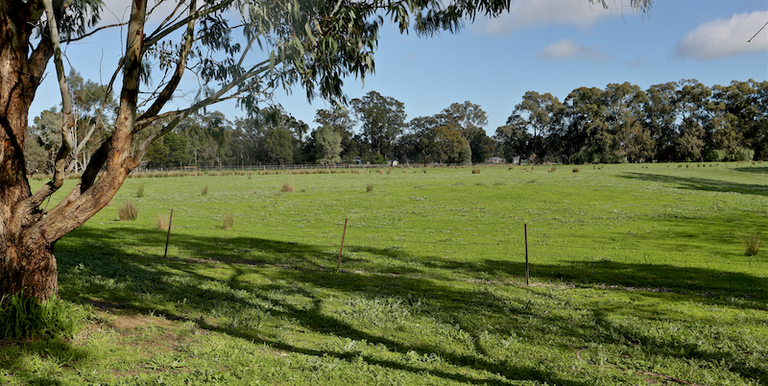 42 Creek Drive, Euroa