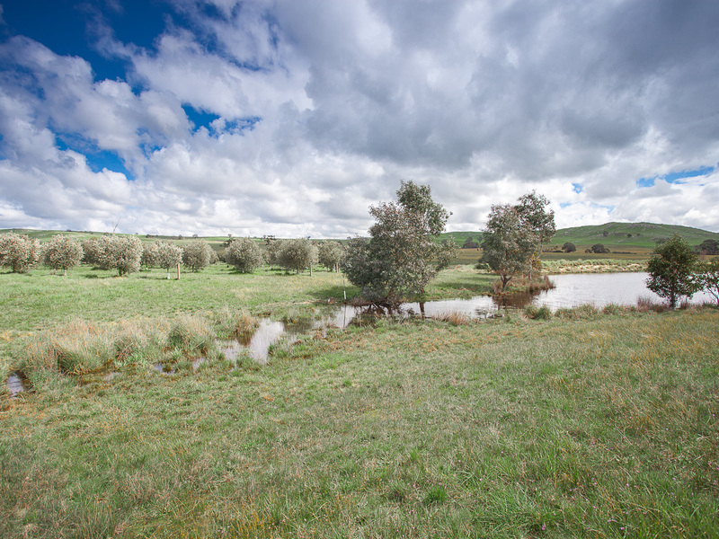 Lot 4, Baynton Road, Pastoria East