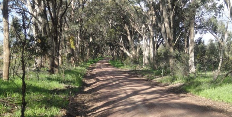 Paynters Road, Earlston