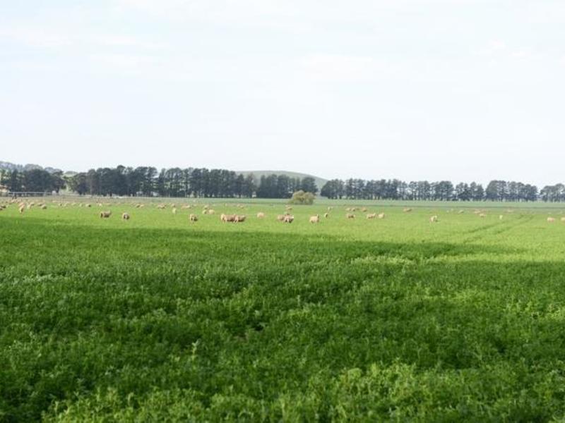 property_name(property)