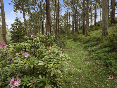 720  Mount Macedon Road, Mount Macedon