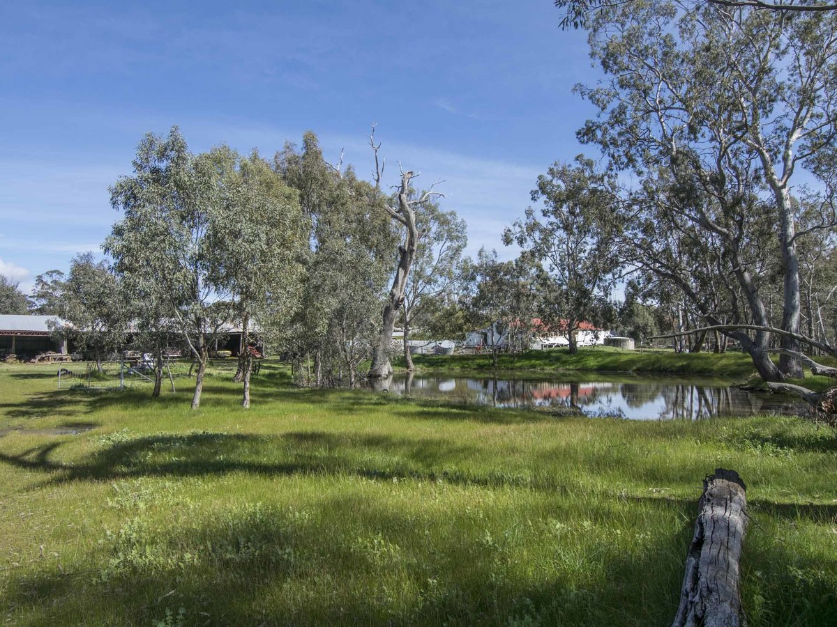 1704 Henty Highway, Mockinya
