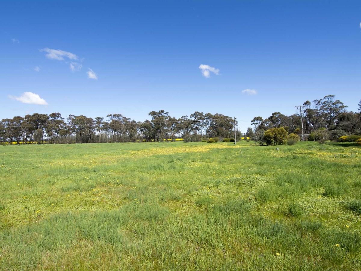 1704 Henty Highway, Mockinya