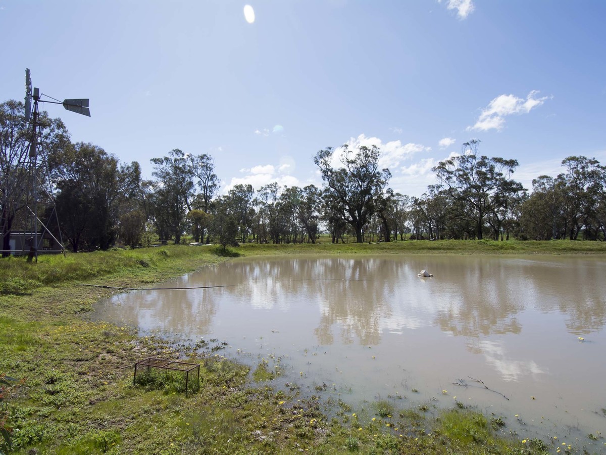 1704 Henty Highway, Mockinya