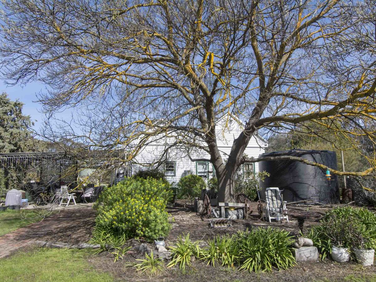 1704 Henty Highway, Mockinya