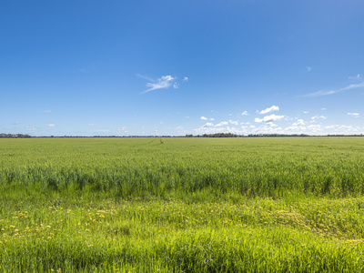 1072 Old Boort Road, Bendigo