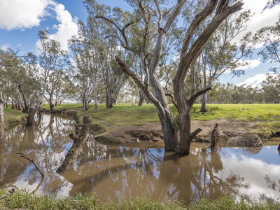 1072 Old Boort Road, Bendigo