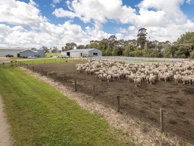 1072 Old Boort Road, Bendigo