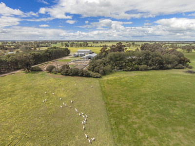 1072 Old Boort Road, Bendigo