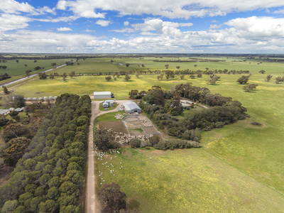 1072 Old Boort Road, Bendigo