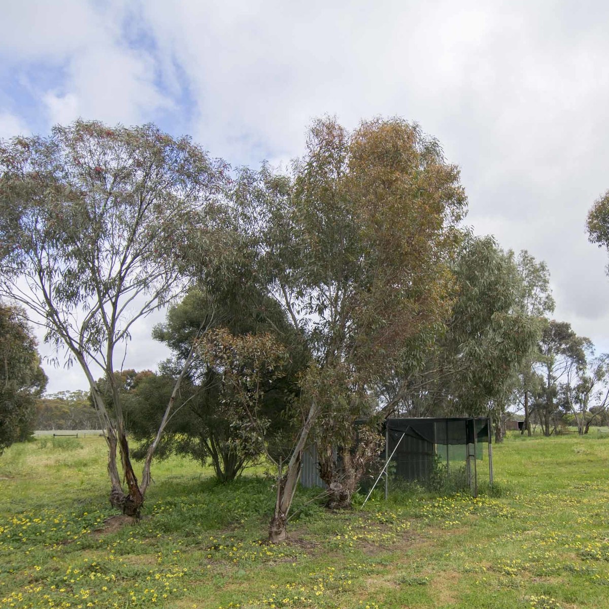 193 Wards Road, Haven