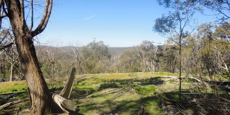 'Noora'  CA 56A  Harrys Creek Road Boho, Strathbogie