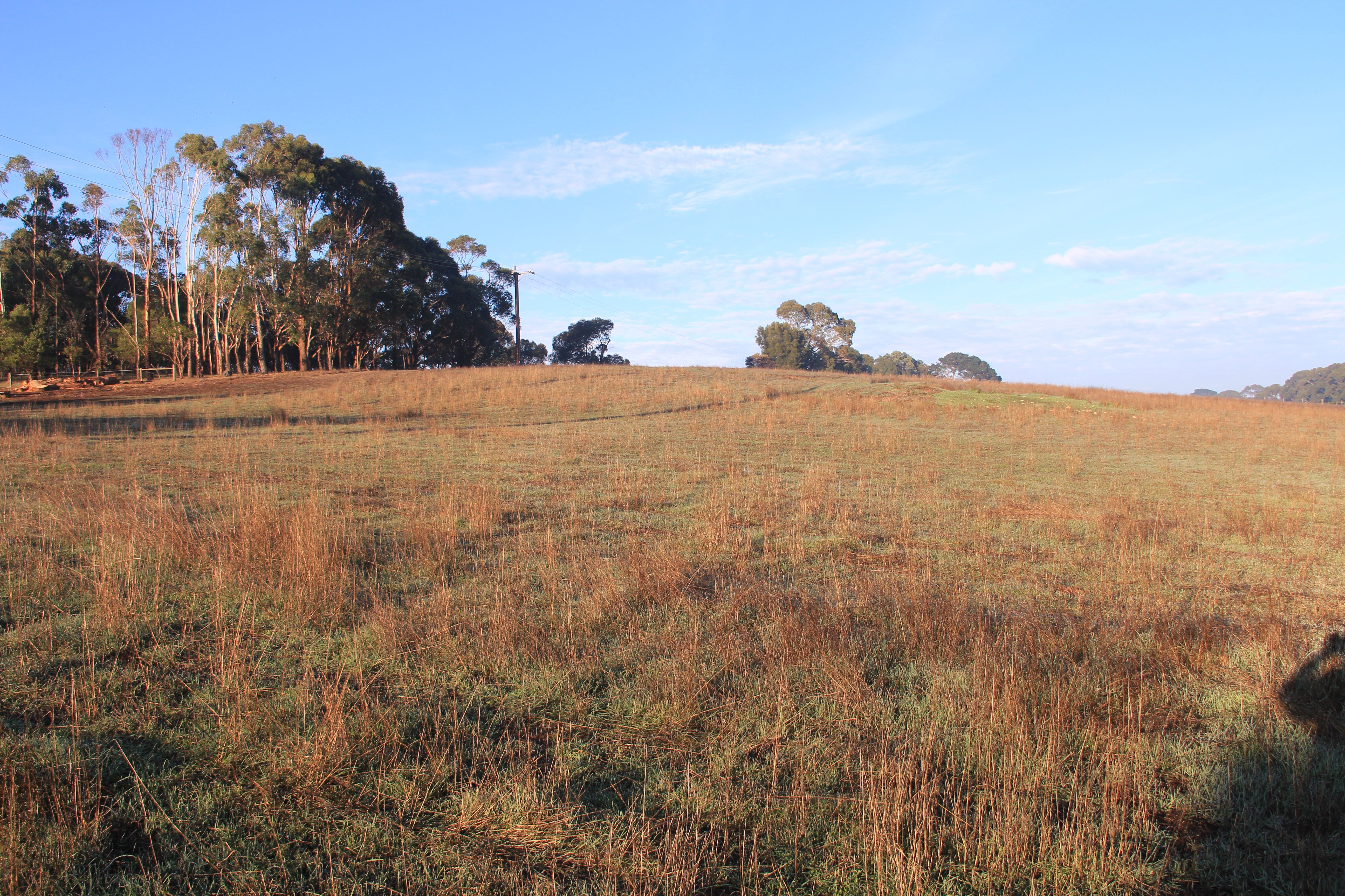 Lot 101, McKay Road, Compton