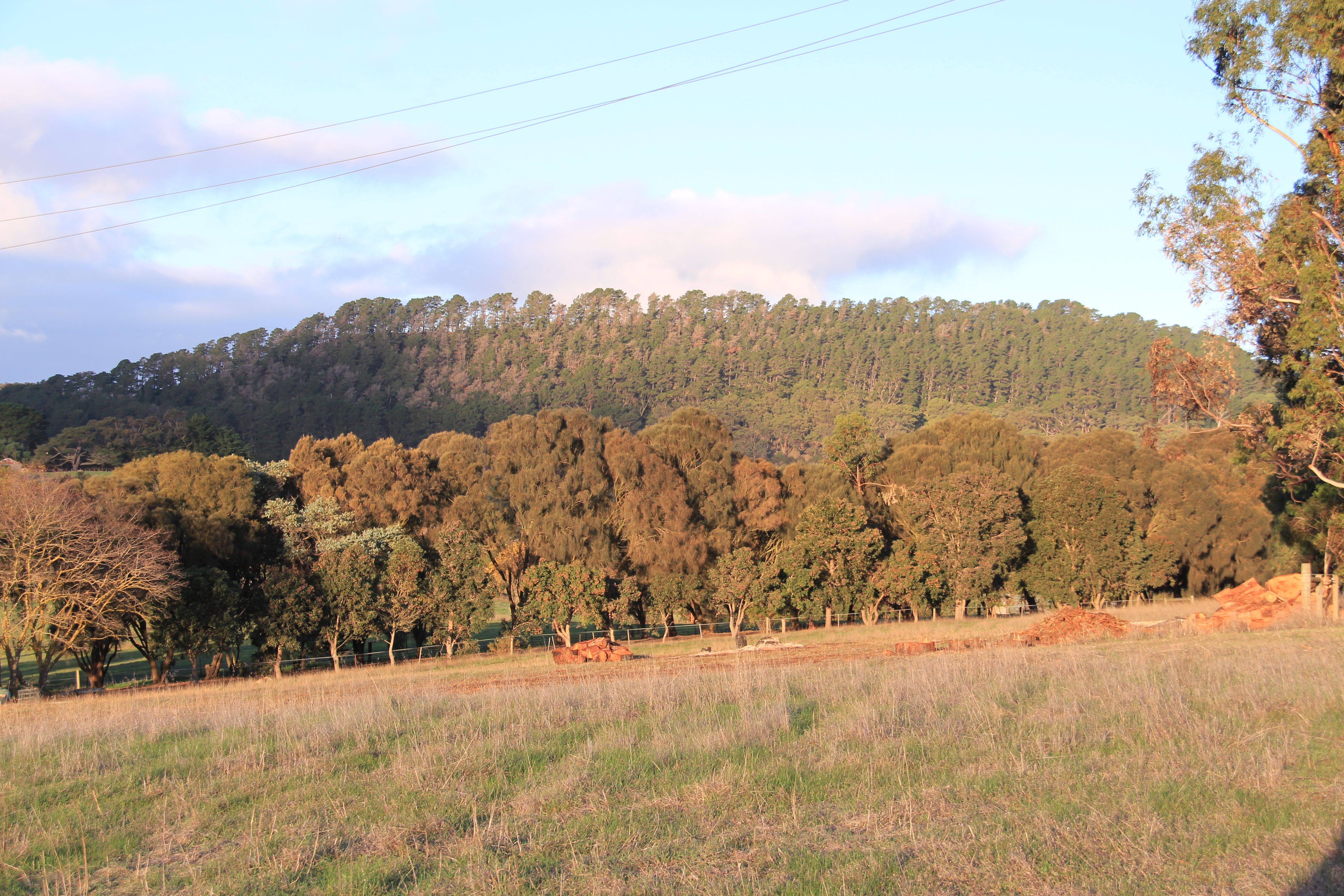 Lot 101, McKay Road, Compton